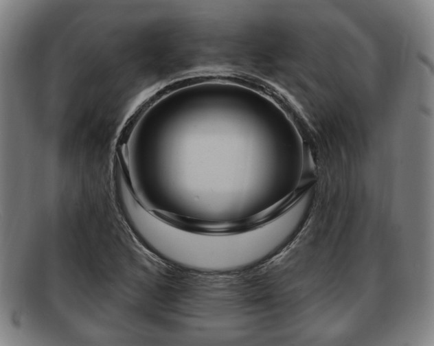 X0000091851168200709121305