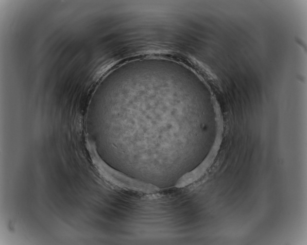 X0000091851169200709121305