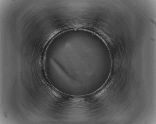 X0000091851170200709121305