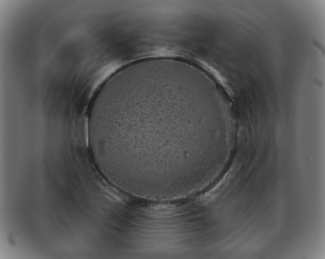 X0000091851171200709121305
