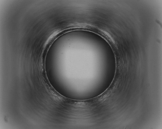 X0000091851172200709121305