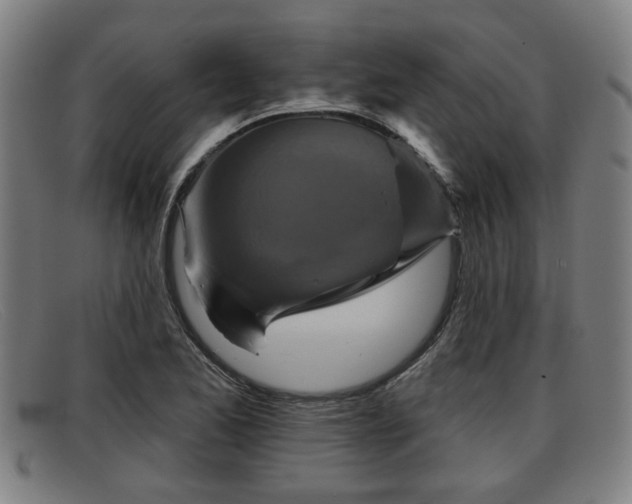 X0000091851173200709121305
