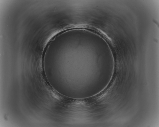 X0000091851174200709121305