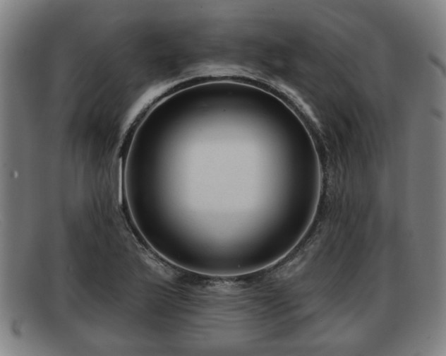 X0000091851175200709121305