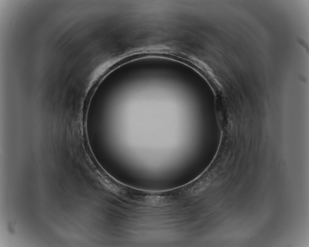 X0000091851176200709121305