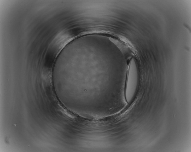 X0000091851177200709121305