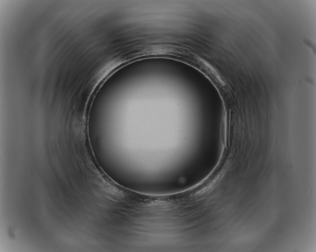X0000091851178200709121304