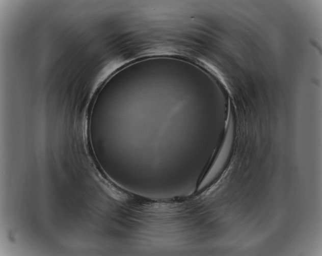 X0000091851179200709121304