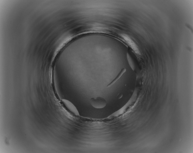 X0000091851180200709121304