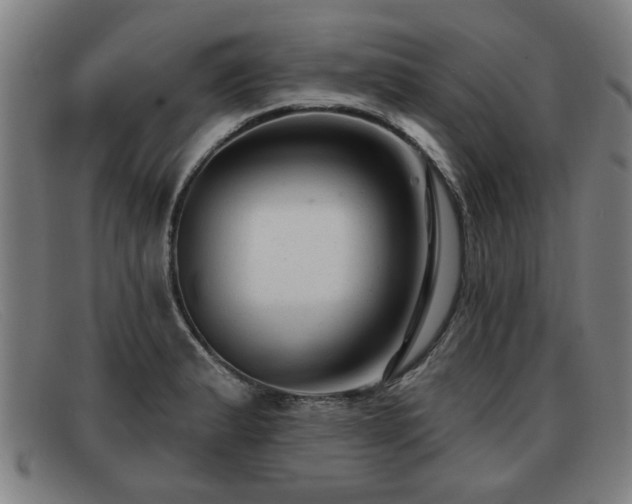X0000091851183200709121304