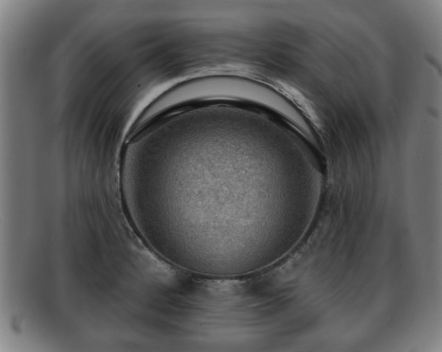 X0000091851184200709121304
