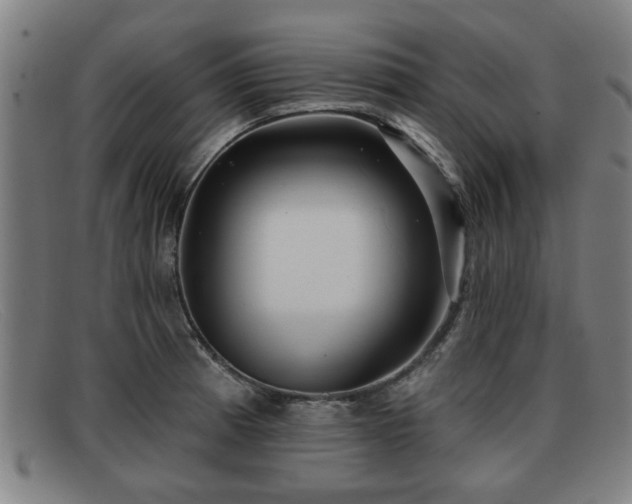 X0000091851185200709121304