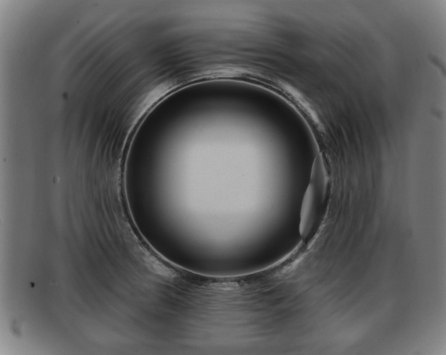 X0000091851186200709121304