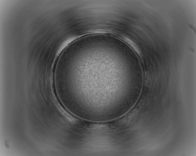 X0000091851187200709121304