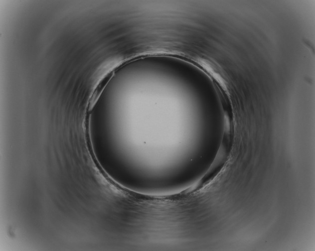 X0000091851189200709121304