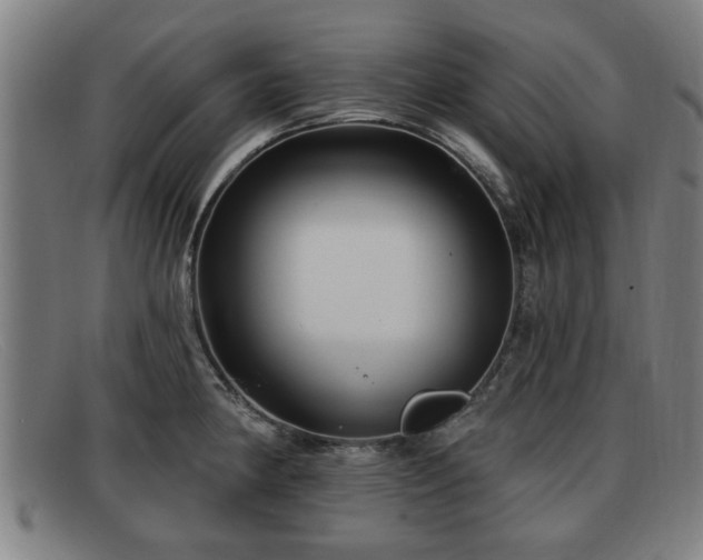 X0000091851190200709121304