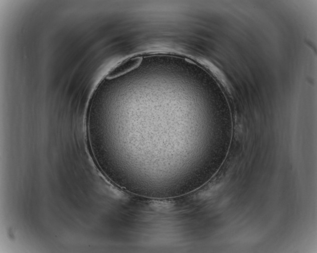 X0000091851191200709121304