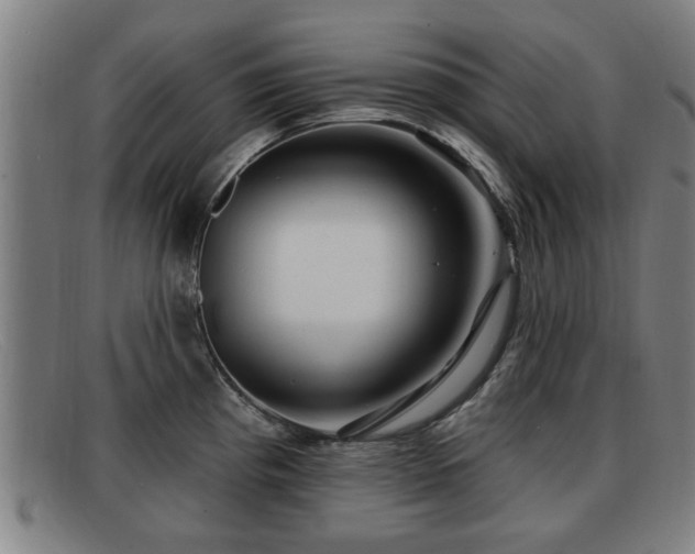 X0000091851193200709121304