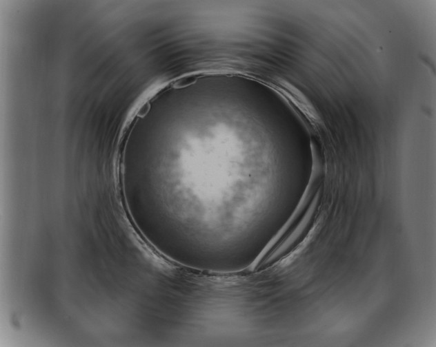 X0000091851196200709121304