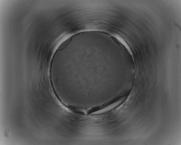 X0000091851197200709121304