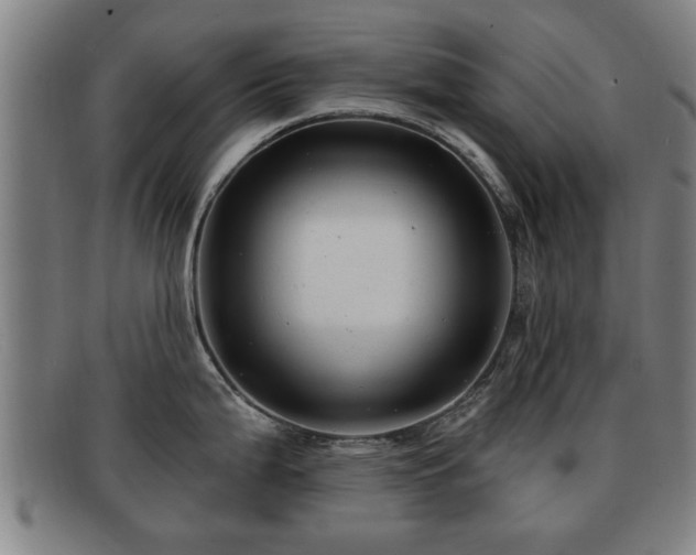 X0000091851199200709121304
