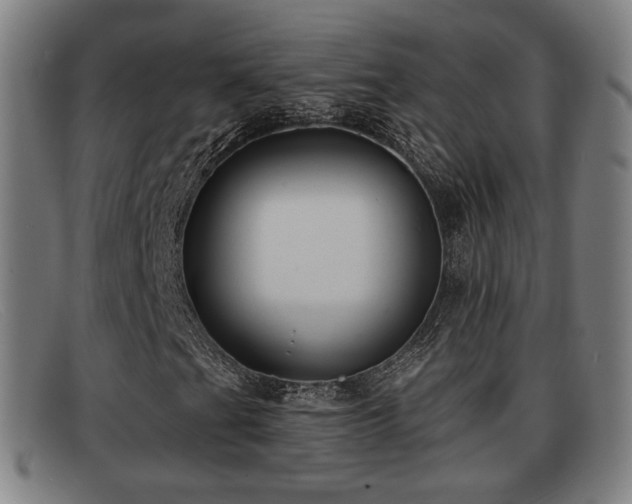 X0000091851201200709121304