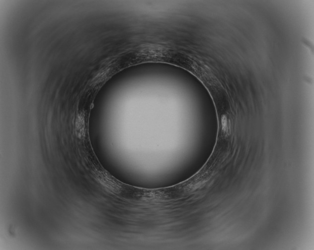 X0000091851203200709121304