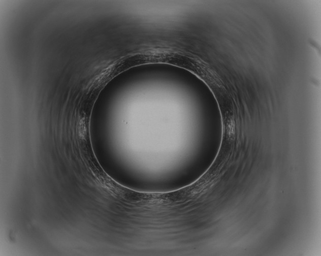 X0000091851204200709121304