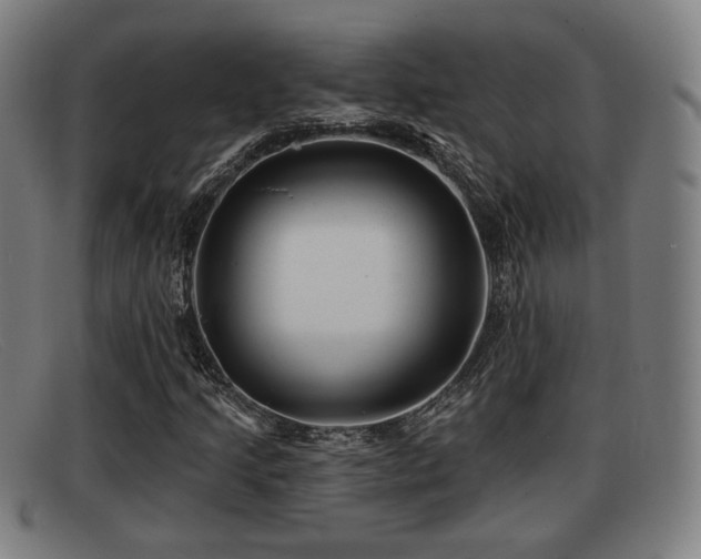 X0000091851205200709121304