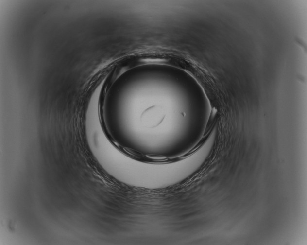 X0000091851206200709121304