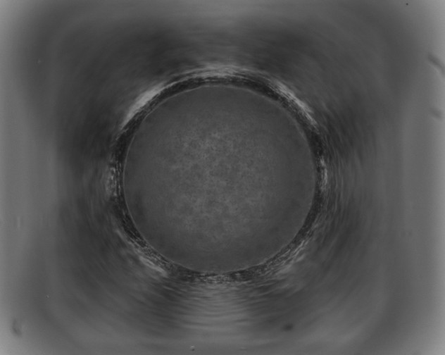 X0000091851208200709121304
