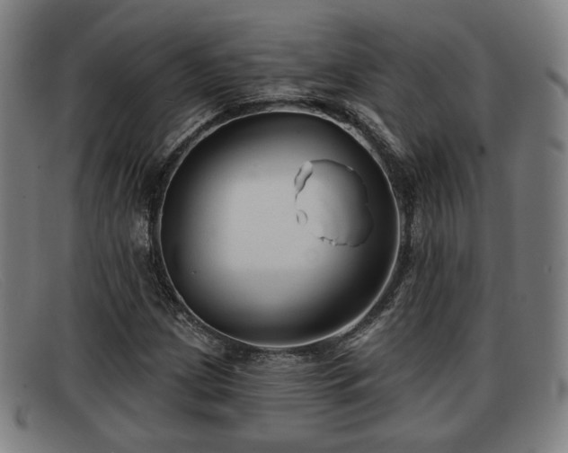 X0000091851209200709121304