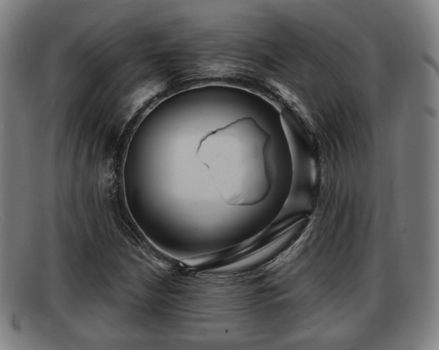 X0000091851210200709121304