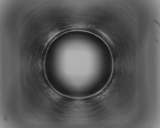 X0000091851212200709121304