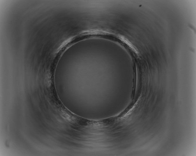 X0000091851213200709121304
