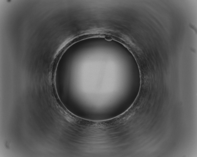 X0000091851216200709121304