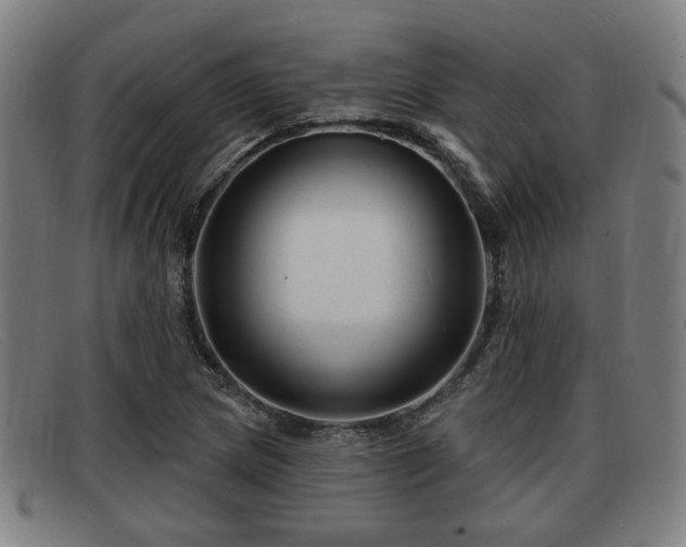 X0000091851217200709121304