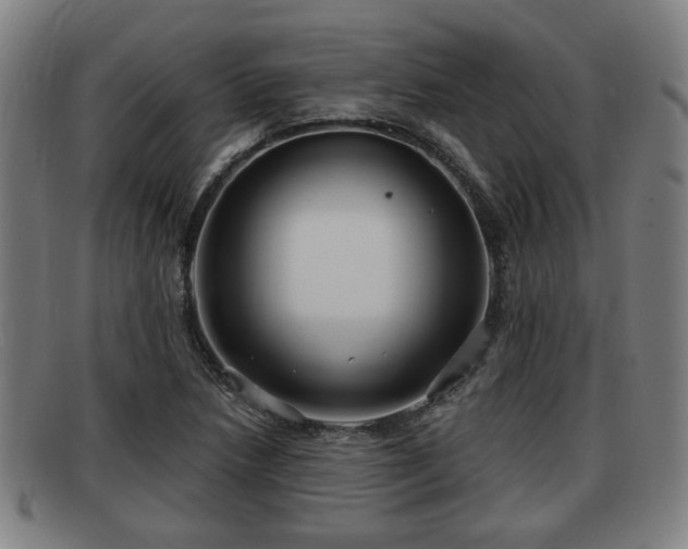 X0000091851218200709121304