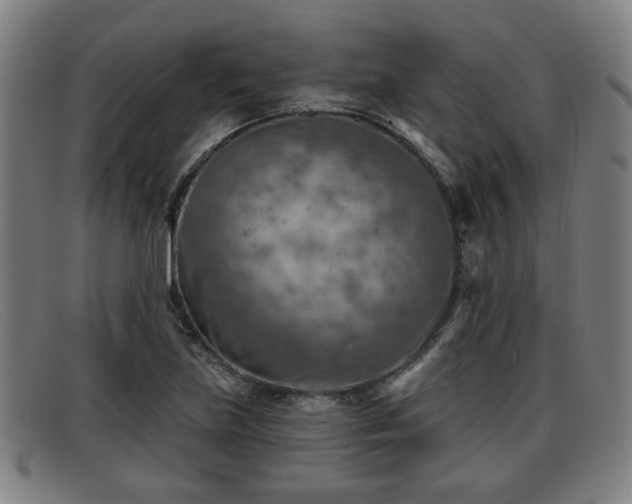 X0000091851219200709121304