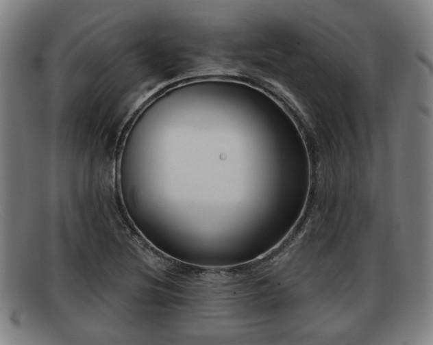 X0000091851220200709121304