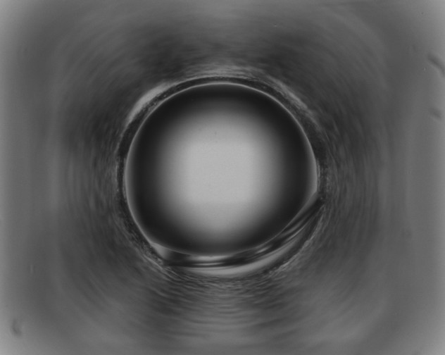X0000091851222200709121304