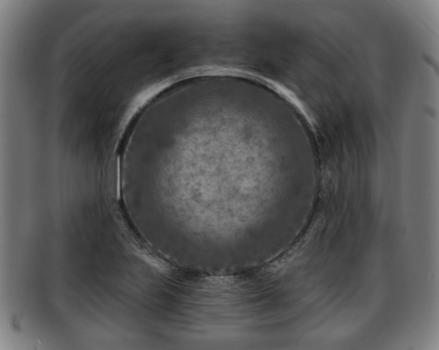 X0000091851223200709121304