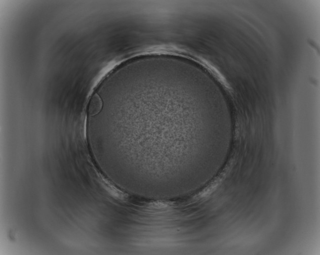 X0000091851224200709121304