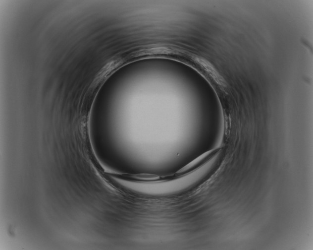 X0000091851225200709121304