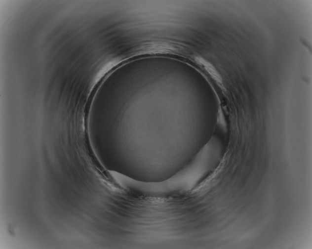 X0000091851226200709121304