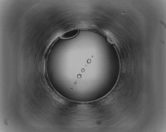 X0000091851227200709121304