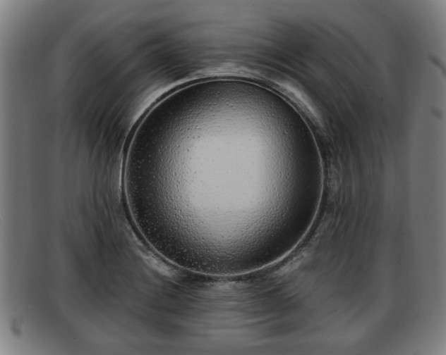 X0000091851228200709121304