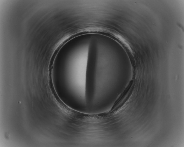 X0000091851229200709121304