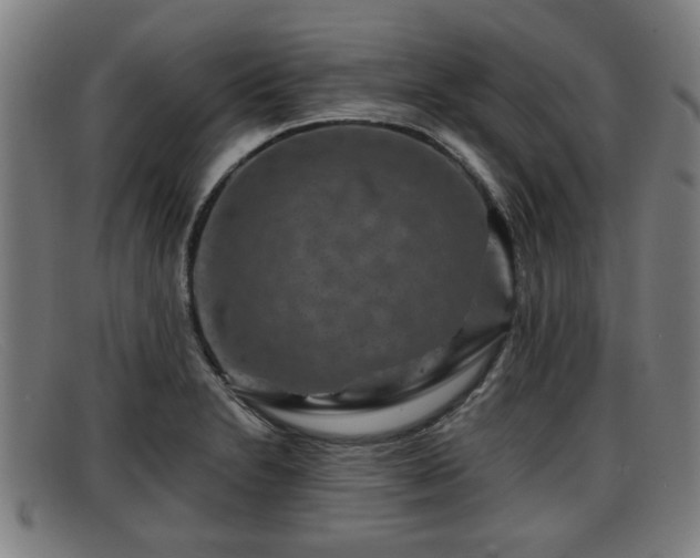 X0000091851230200709121304