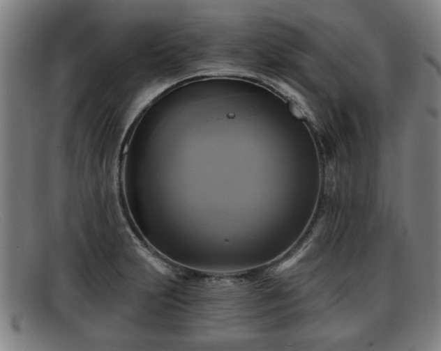 X0000091851231200709121304